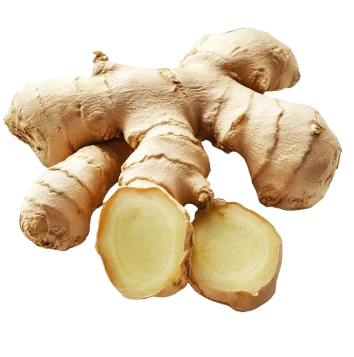 Ginger